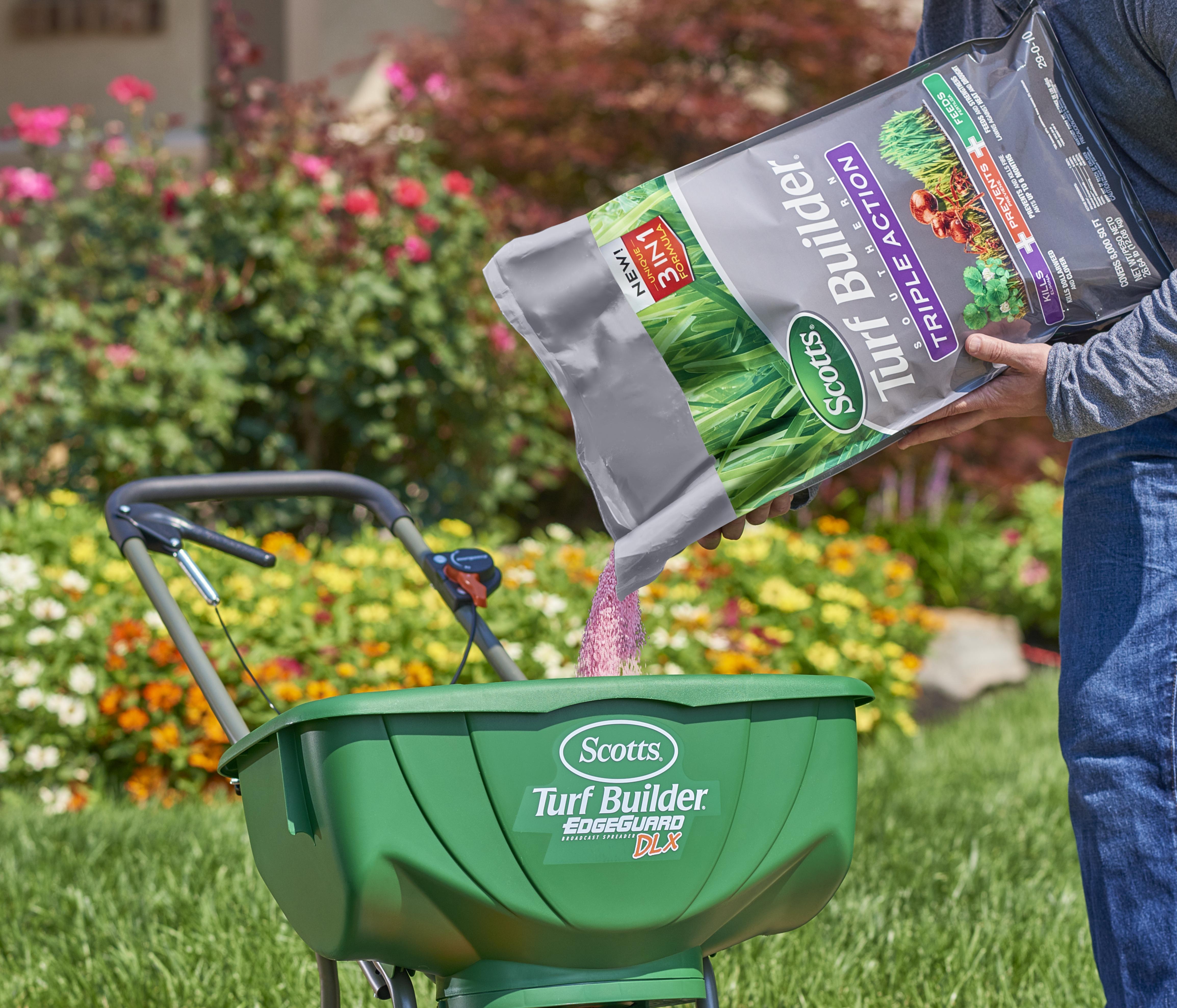 How Do I Prevent Fire Ants in My Lawn?