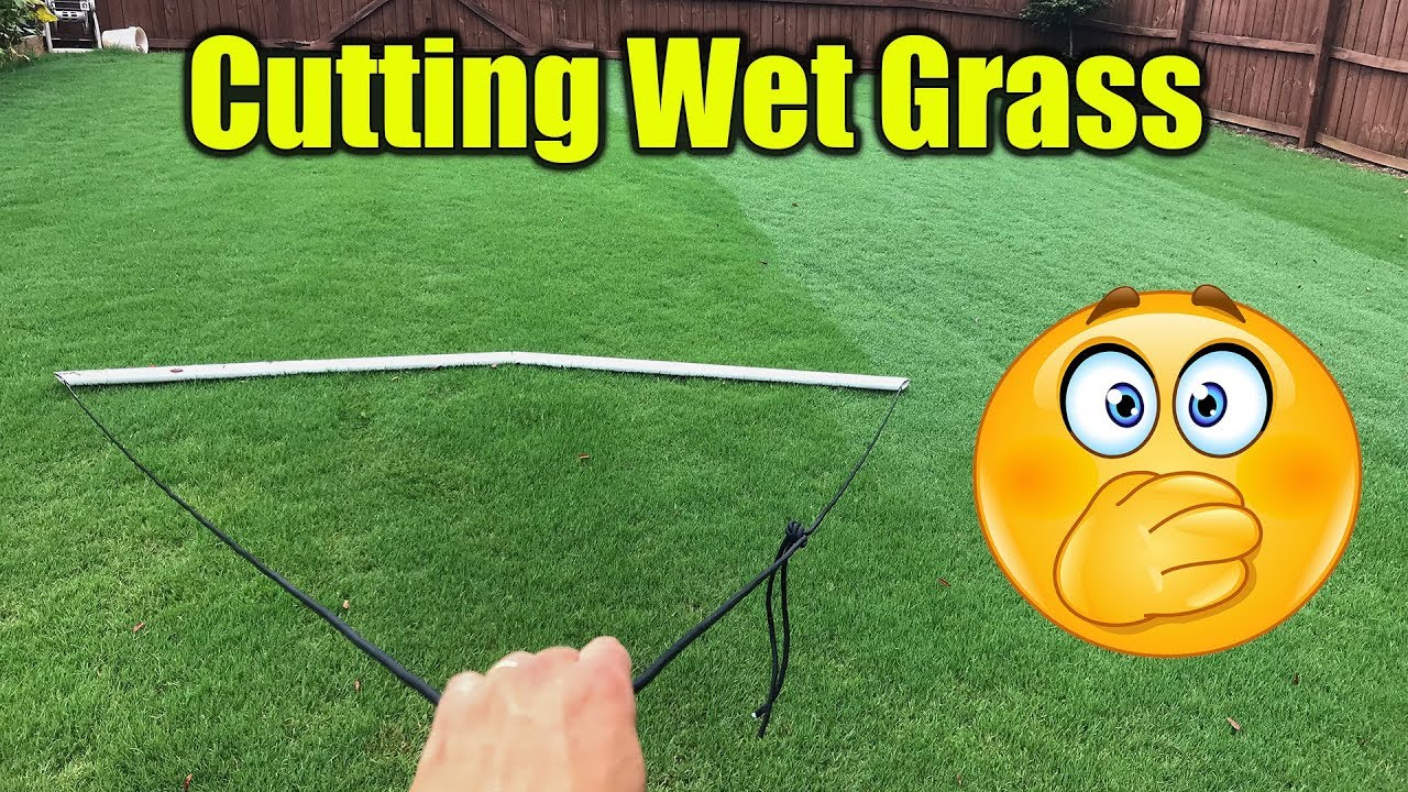 Should You Mow Wet Grass