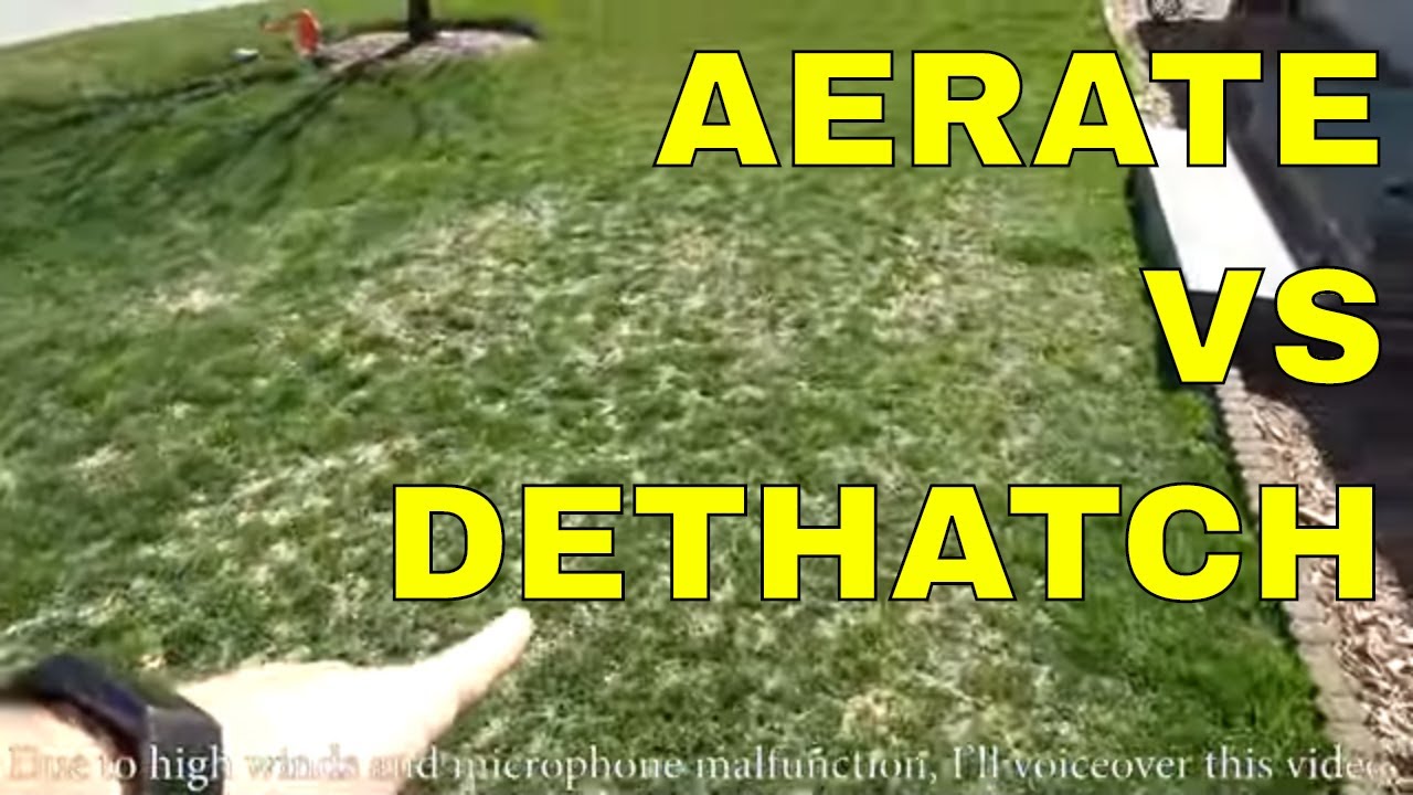 Should I Aerate Or Dethatch My Lawn First?