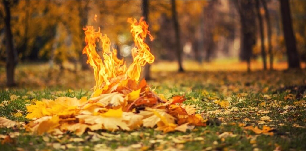 How To Burn Leaves