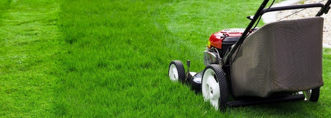 Best Time To Buy A Lawn Mower